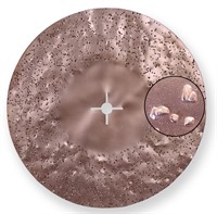 HM-slipskiva 16 – produktbild